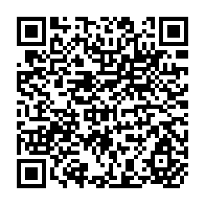 QR Code for Analysing inter-Relationships Between Migration and Employment