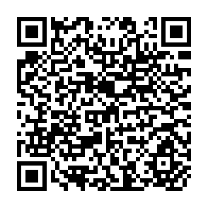 QR Code for Population Growth,Poverty and Inequality in a International Perspective