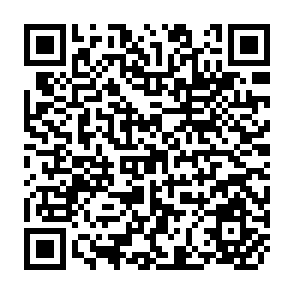 QR Code for Policy options for the grain economy of the european community: implications for developing countries