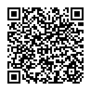 QR Code for Strengthening of Energy Research Capacity in Developing Countries- Part I: Summary of Proceedings and Conclution