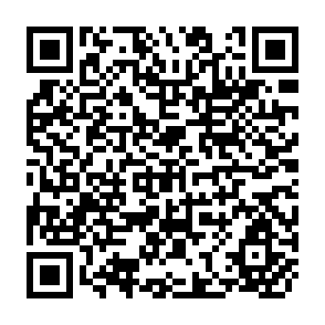QR Code for Logging and log Transport in Tropical High Forest