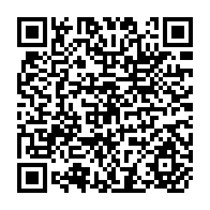 QR Code for Agricultural Protectionism: The Impact on LDCs