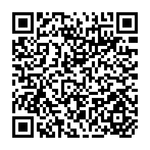 QR Code for Rome Declaration on Hunger