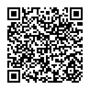 QR Code for Nonnegative Approximate Solutions to an Econometric Model With Prescribed Goals