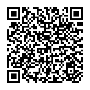 QR Code for Income Distribution, Underdevelopment and the Labor Market