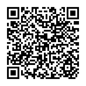 QR Code for Maeasured Ability , Educational Attainment and Earnings of Vocational Trainee - Graduates : Some Empirical Evidences