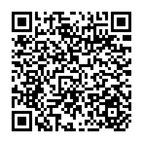 QR Code for The Performance and Prospects of Small and Intermediate Size Cities in the Philippines
