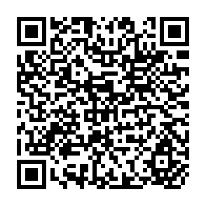 QR Code for Factor Proportions and the Direction of International Trade: An Application of Factor Analysis