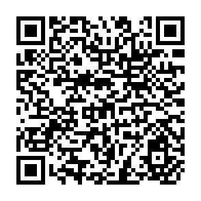 QR Code for The 1981-85 Tarieff Changes and Effective Protection of Manufacturing Industries