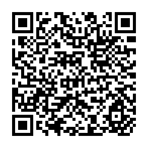 QR Code for Social Values and Individual Choices