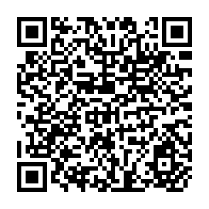 QR Code for Mechanisation and Employment in Thai Paddy Cultivation