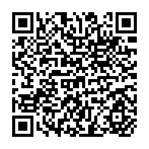 QR Code for Mechanisation and Employment in Thai Paddy Cultivation
