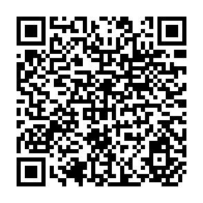 QR Code for Agriculture and Economic Growth in an Open Economy: The Case of Argentina