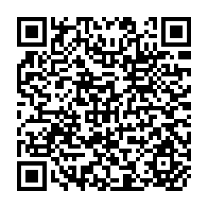 QR Code for The Determinants of School Achievement in Developing Countries: The Education Production Function