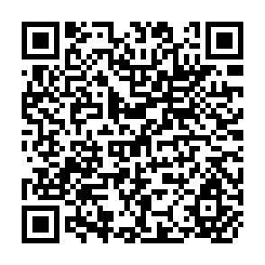 QR Code for Report on the Expert Consultation on Training in Water Management