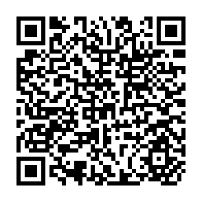 QR Code for Preventing School Failure: The Relationship between Pre-school and Primary Education