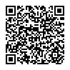 QR Code for Report on the Governmnet Consultation on the Establishment of the Centre for International Coorperation for Training and Agricultural Banking