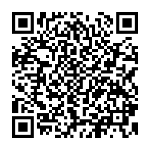 QR Code for International Training in Agricultural Economic Development
