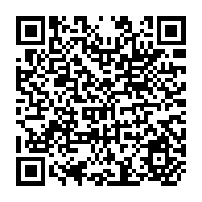 QR Code for The Sorcerer's Apprentice