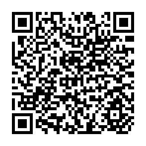QR Code for The Development Effectiveness of Food AID in Africa