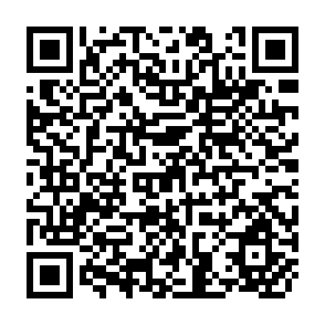QR Code for Land Settlement