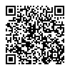 QR Code for Report of the third technical consultation of agris participating centres