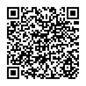 QR Code for Dimensions of Farm-Level Diversification in the Semi-Arid Tropics of Rural South India