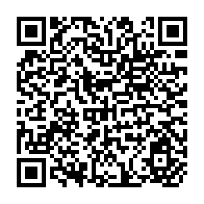 QR Code for Collecting Statistics on Agricultural population and Employment