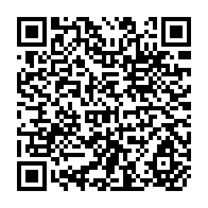 QR Code for Alternative Approaches to Meeting Basic Health Needs in Developing Countries