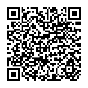 QR Code for Rural Development Season as Stratergy: The Changing Organization of the Rural Water Sector in Botswana