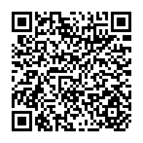 QR Code for Delivery System in Support of Small Farmers in the Context of Rural Development