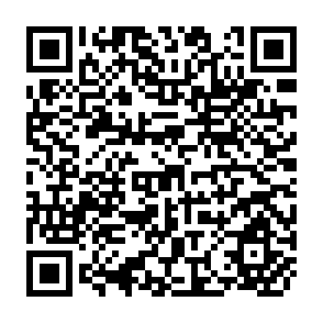 QR Code for Policy modeling of a dual grain market: the case of wheat in India