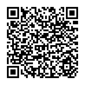 QR Code for Risk In Market Equilibrium Models For Agriculture