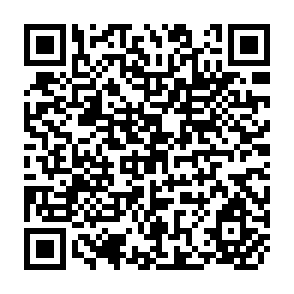 QR Code for Farm Irrigation Constraints and Farmers' Responses: Comprehensive Field Survey in Pakistan