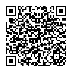 QR Code for Agricultural Production in Kisii District/Kenya and Proposals for its Development