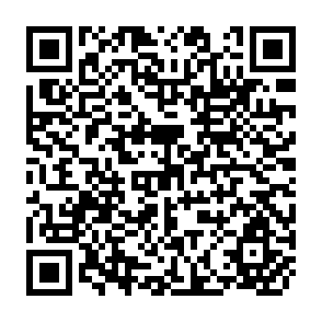 QR Code for Geography of Agriculture : Themes in Research