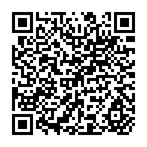 QR Code for The Indian Ocean Region