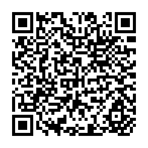 QR Code for Nationalization Policies the Economic Aspects