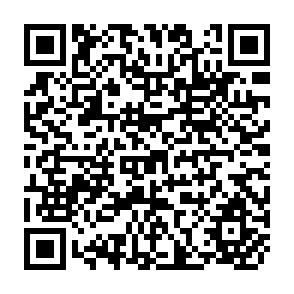 QR Code for Private Foreign Direct Investment in Developing Countries