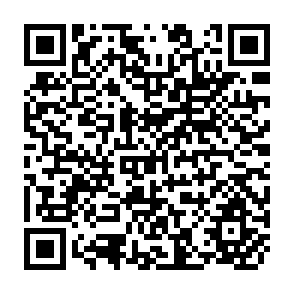 QR Code for The Effect of Improved Water Control in Irrigation Canals on Crop Productions