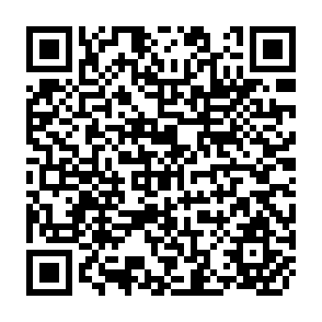 QR Code for Alternative Strategies for Development