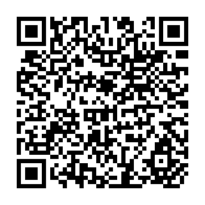 QR Code for International Bank for Reconstruction and Development