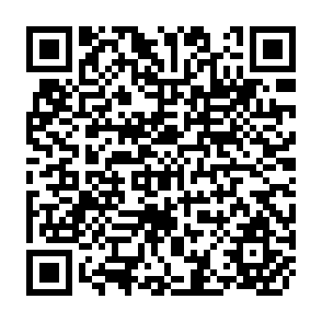 QR Code for Land reform & productivity the maxican case a preliminary analysis