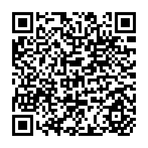 QR Code for Alternative Organization Strategies as Problem Solving Devices for the Development of Command Area in India