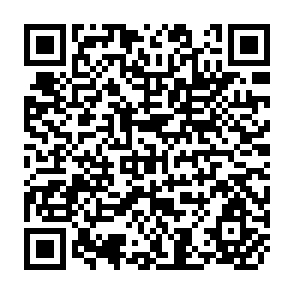 QR Code for A Case for Professionalization of Water Management in Irrigation Projects in India