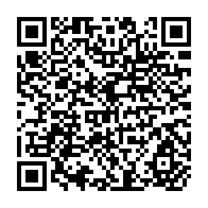 QR Code for The Impact of Agricultural Extension: Case Studies of the Traning and Visiting Methods in South Asia