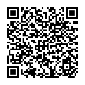 QR Code for Main System Canal Irrigation: Choices for Investment and Research