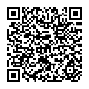 QR Code for A Theory of Economic Development