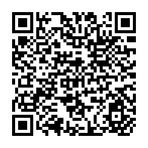 QR Code for Sprinkler Leaching Program for Very Saline Virgin Desert Soils in the La Joya Irrigation Project - Peru