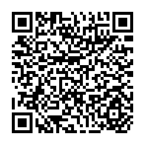 QR Code for The Political Economy of Rural Development: Peasants, International Capital, and the State